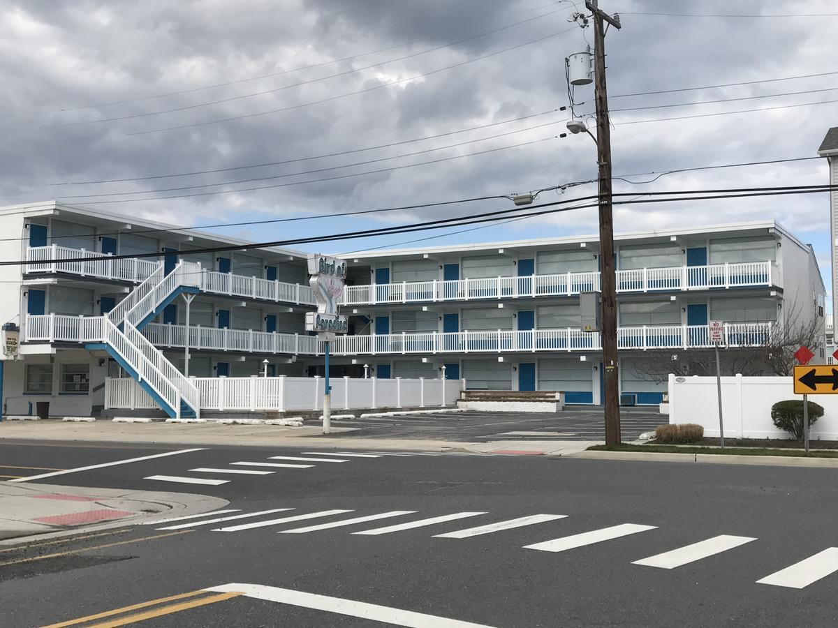 Bird Of Paradise Motel ノース・ワイルドウッド エクステリア 写真